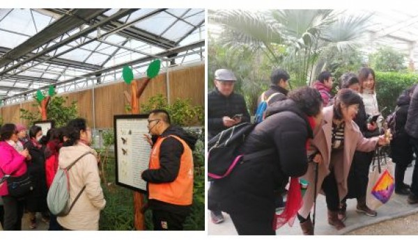 走进五洲植物园，观赏冬日里的“热带雨林”