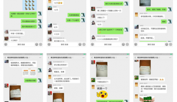 谨防“秋老虎”——青龙桥街道温馨家园线上举办秋季养生讲座
