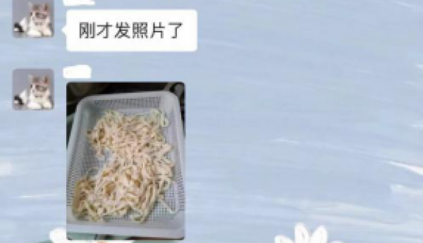 天竺温馨家园开展春季养生美食分享活动