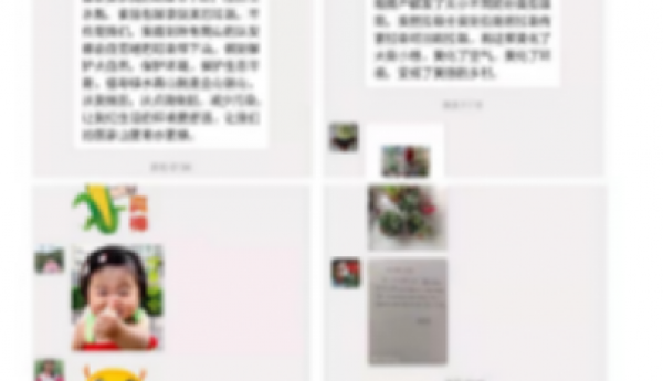 助力绿色环保，为春天增色添彩——仁和镇河南村温馨家园开展植树节主题活动