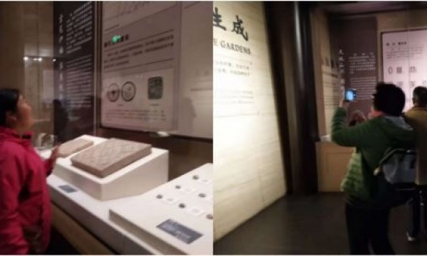 小关街道主食厨房活动之参观中国园林博物馆