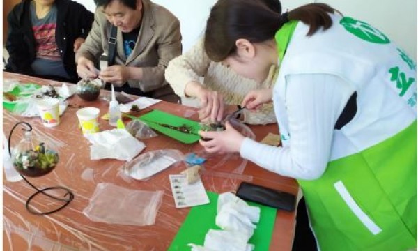 亚运村街道为失独老人举办微景观多肉种植活动