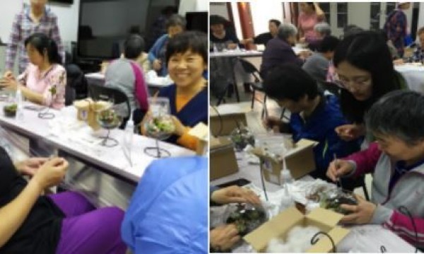 大栅栏西街社区开展绿植工艺活动