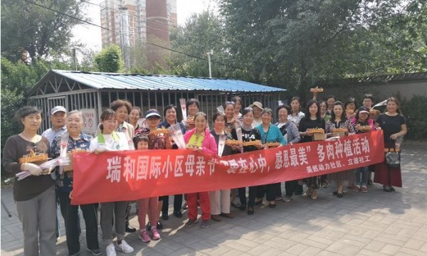 【母亲节】瑞和国际小区开展“爱在心中 感恩最美”多肉种植活动