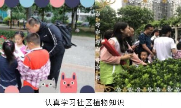 太阳宫社区举办“走进植物世界”亲子活动