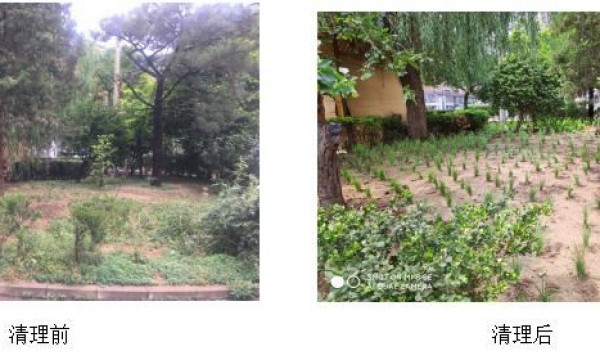 南湖西里社区又多了一张名片