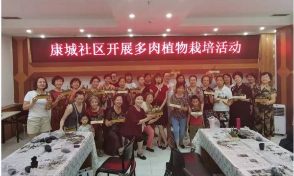 黑庄户地区社区社会组织开展促融合培育系列活动