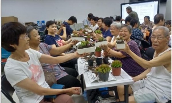 大栅栏西街社区举办多肉种植活动