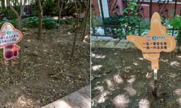 丝竹园社区在安翔西街和安翔路安装文明标识牌