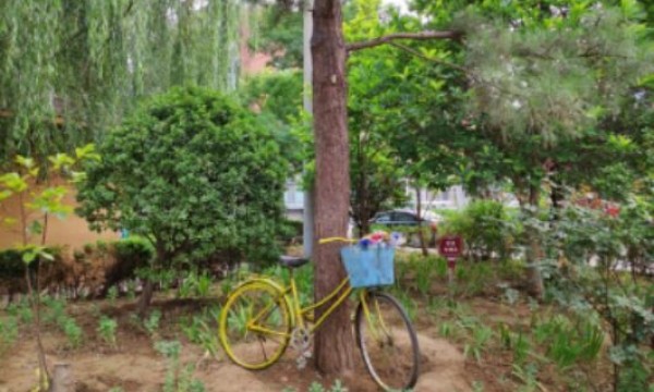 南湖西里邻里百花园又添新色彩