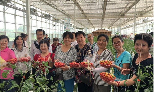 青龙桥街道温馨家园组织服务对象开展农疗体验活动