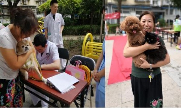 北辰东路社区开展文明养犬宣传活动