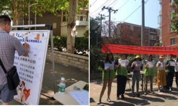 创文明社区，做文明养犬人——南湖西里开展文明养犬系列宣传活动