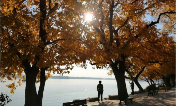 美在深秋——青龙桥街道温馨家园颐和园采风活动掠影