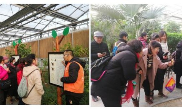 走进五洲植物园，观赏冬日里的“热带雨林”