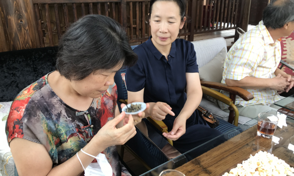 品茶香 听茶韵—新国展国际社区开展“家之文化·认识茶”活动