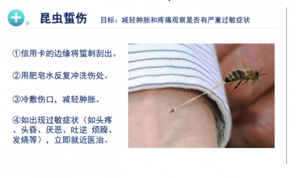 【护守家园】大西洋社区组织自治巡逻队开展专业应急技能培训活动