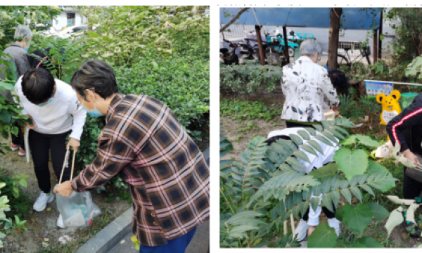 安贞街道外馆社区“楼院换新记”之绿地清理美化活动