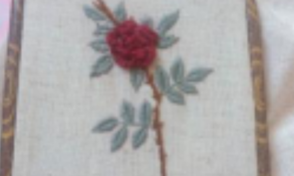 予人玫瑰，手留余香——仁和镇河南村温馨家园手工工作坊·刺绣