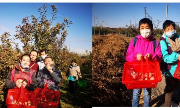 金秋喜丰收，笑声乐满园——广内街道温馨家园开展秋季户外康复实践活动