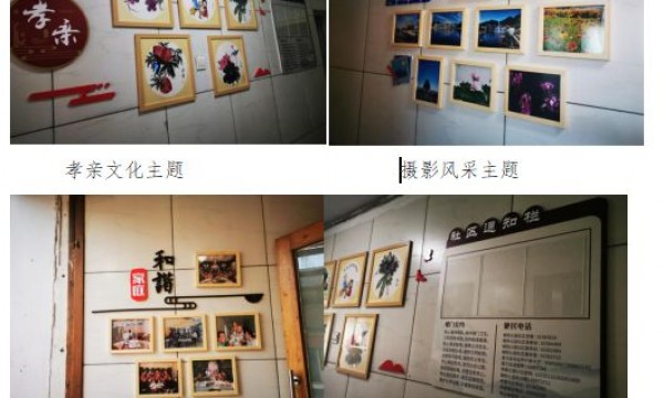 楼门文化齐参与，楼院环境益起来——朝阳公园社区南区塔楼大变样啦！