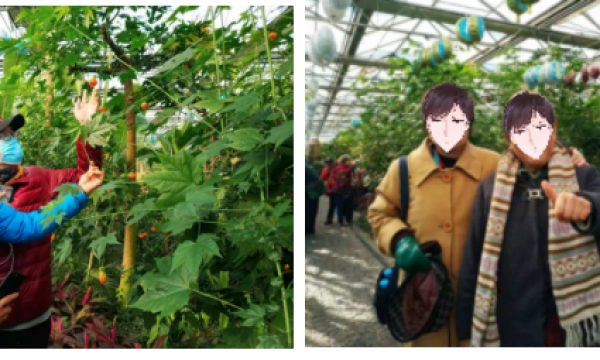 沐浴爱的阳光——和平街残联开展亲子融合活动