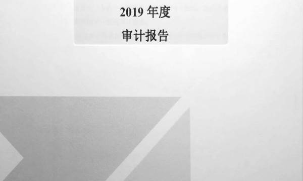 千禾立德2019年审计报告