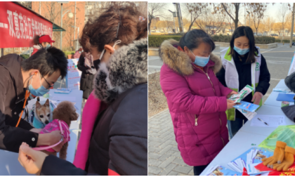 文明养犬行 和谐邻里情——双惠苑社区开展党组织服务群众项目