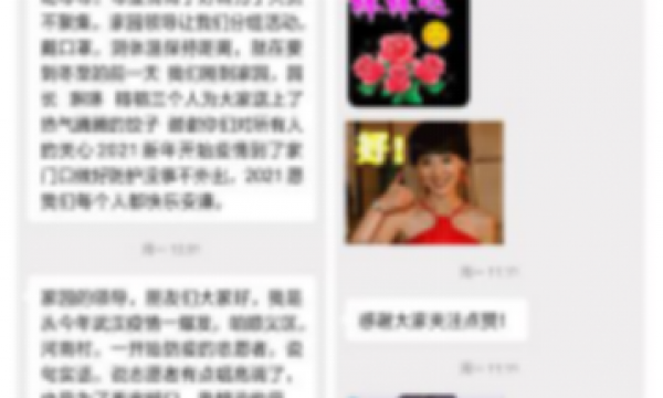 “回顾2020，启航2021”——仁和镇河南村温馨家园主题征文活动