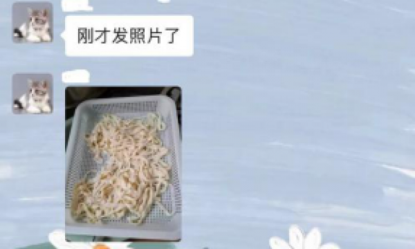 天竺温馨家园开展春季养生美食分享活动