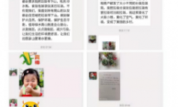 助力绿色环保，为春天增色添彩——仁和镇河南村温馨家园开展植树节主题活动