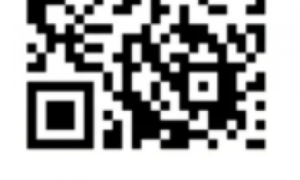 千禾智行社会工作发展中心副主任武晓霞将在首届支持型组织高质量论坛做主旨发言